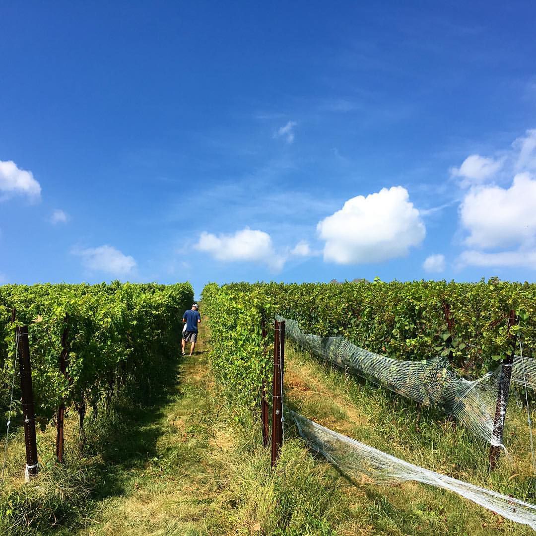 winery
